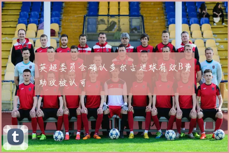 英超委员会确认多尔古进球有效B费助攻被认可