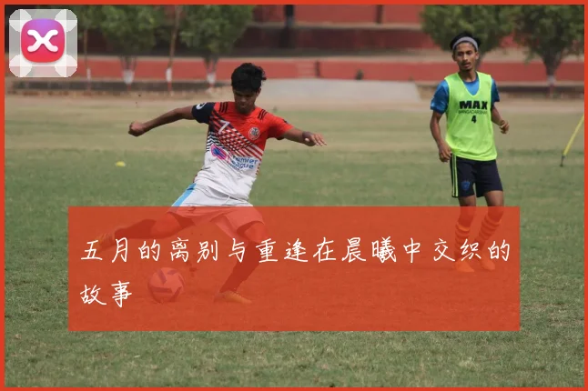 五月的离别与重逢在晨曦中交织的故事