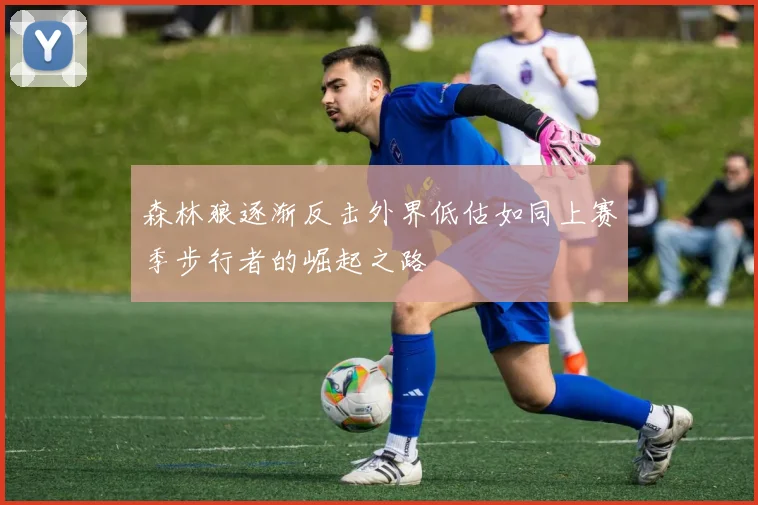 森林狼逐渐反击外界低估如同上赛季步行者的崛起之路
