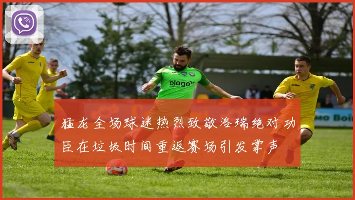 猛龙全场球迷热烈致敬洛瑞绝对功臣在垃圾时间重返赛场引发掌声